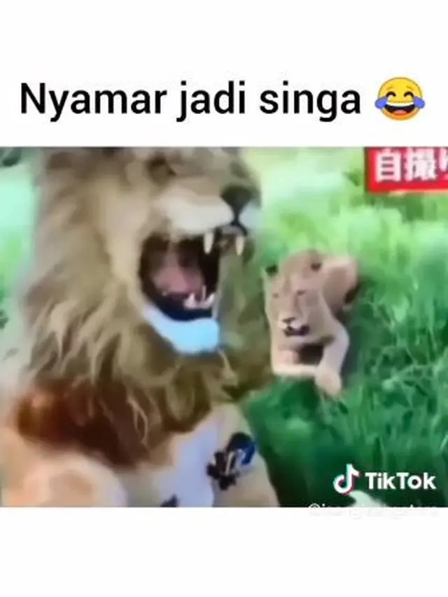 6 Penyamaran Jadi Hewan Ini Penuh Tipu-Tipu, Iseng Uji Nyali