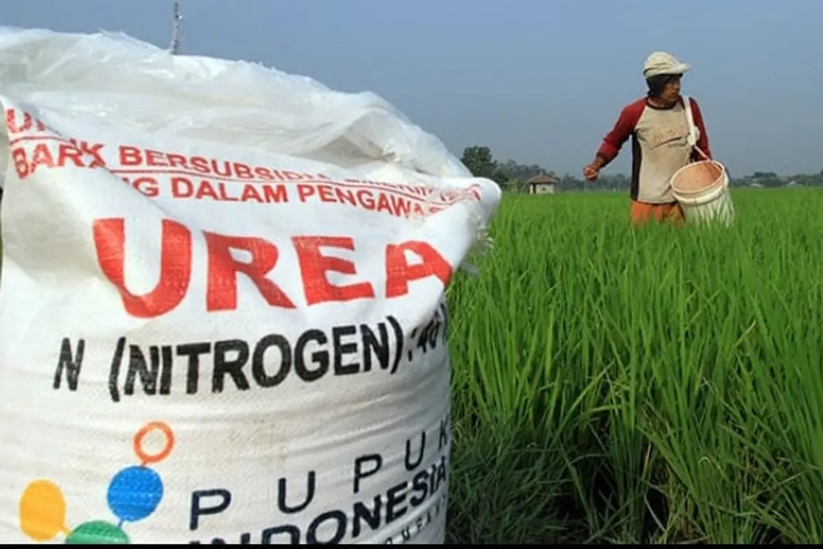 Ilustrasi stok pupuk urea bersubsidi (Istimewa)
