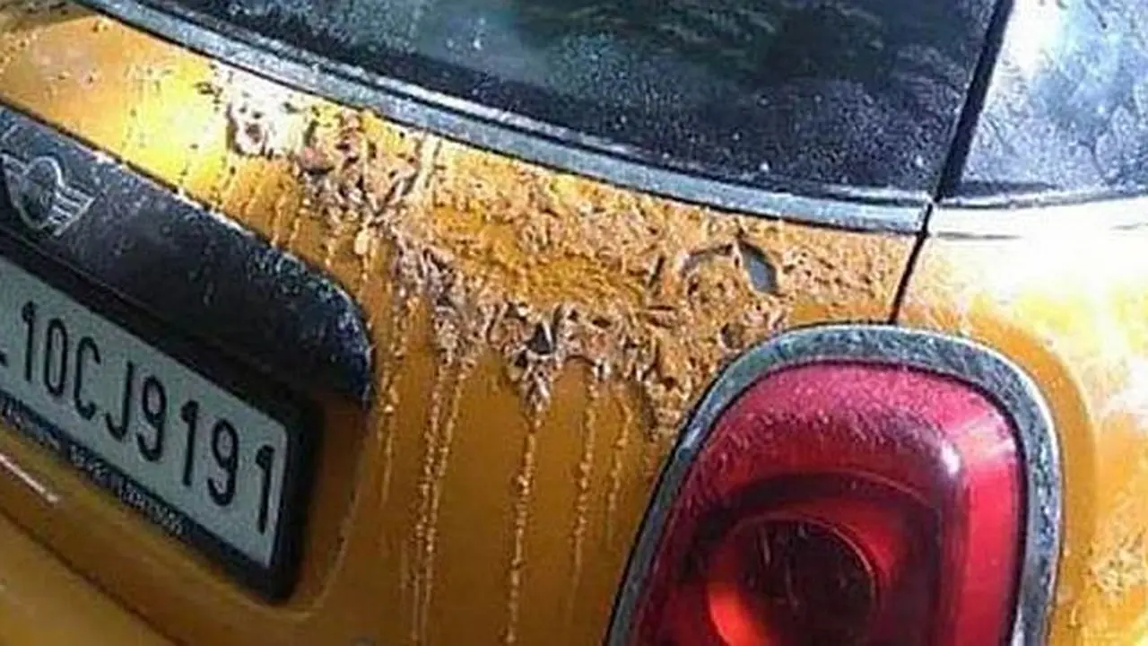 Mobil korban tangan jahil di India