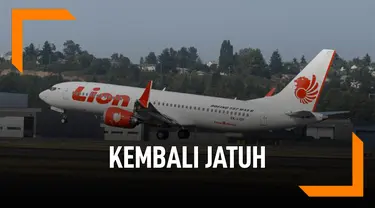 Kembali Jatuh, Ini Harga Pesawat Boeing 737 Max 8