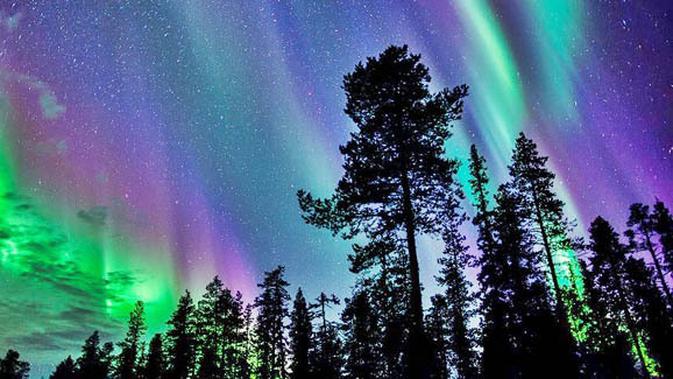 Cantiknya Fenomena Langit Kutub Utara Bagai Pelangi di 