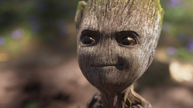 I Am Groot. (Foto: Disney Plus Hotstar)