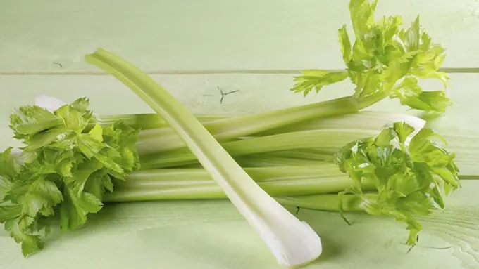 Foto Copyright thinkstockphotos.com