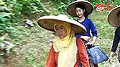 Mulanya warga Baduy, Banten, tidak terlalu mengikuti penyuluhan kesehatan yang dilakukan bidan Ros Rosita. Belakangan, mereka malah ikut membantu tugas sang bidan. 