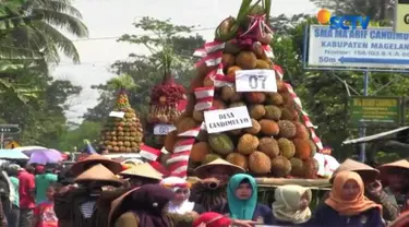 Festival durian yang menyuguhkan ribuan durian berbagai jenis yang pastinya langsung jadi rebutan.