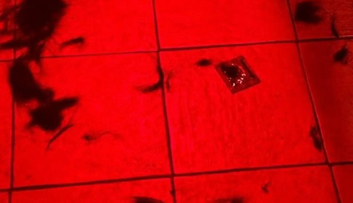 Leader NCT itu memperlihatkan helaian rambutnya yang berguguran di lantai akibat dipangkas habis. (Foto: Instagram/ taeoxo_nct)
