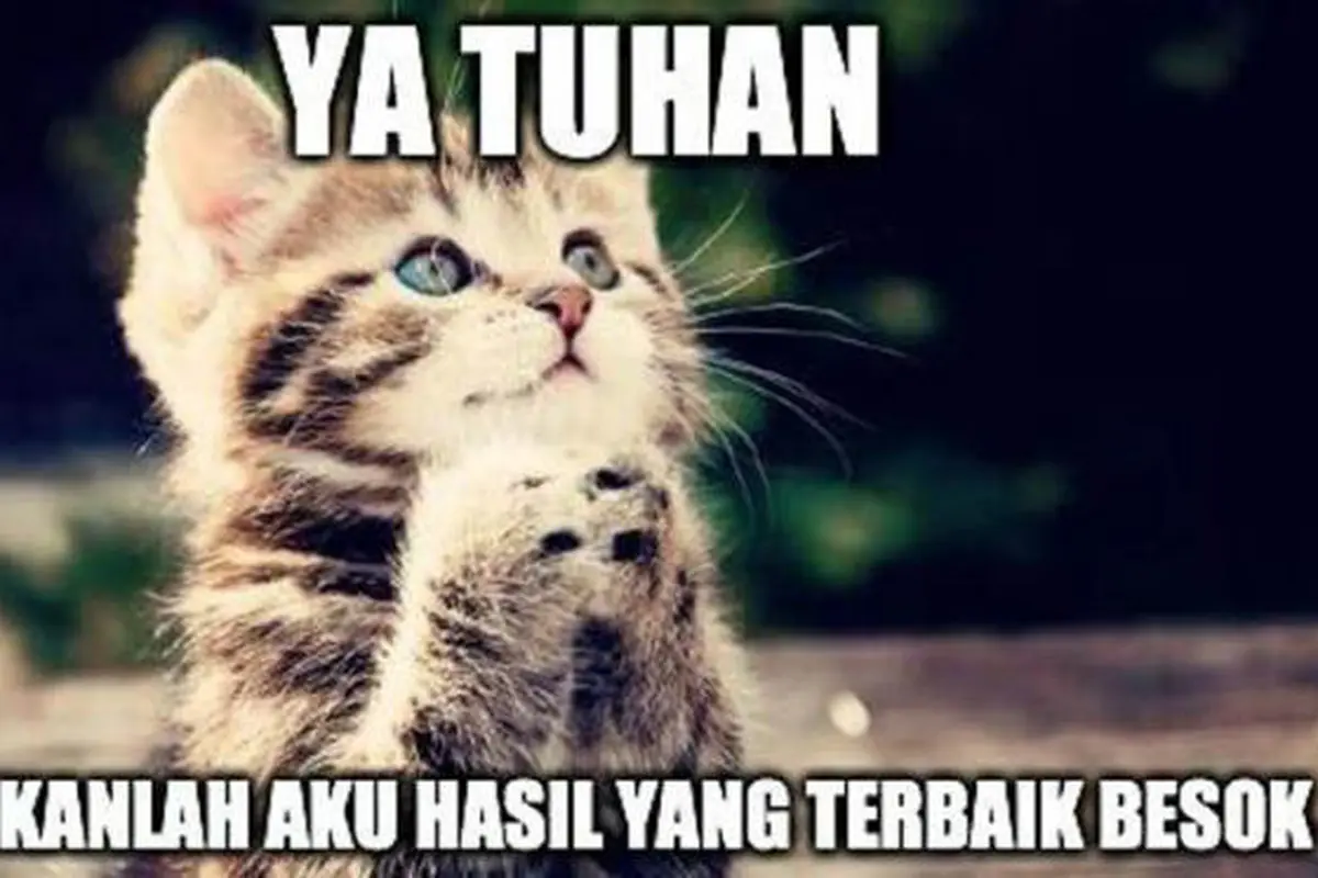 Stres Cari Kampus? Nikmati Saja Dulu Meme SNMPTN Biar Ceria!