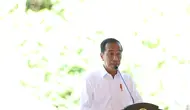 Presiden Joko Widodo (Jokowi) (Foto: Otorita IKN,OJK)