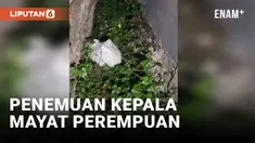 Polisi Temukan Kepala Mayat Badan Perempuan di Pelabuhan Muara Baru