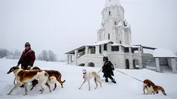 Dua orang melintasi tumpukan salju sambil membawa anjing Barzoi greyhound mereka di dekat sebuah katedral di Kolomenskoye, Moskow (4/2). Badai salju lebat melanda hampir seluruh wilayah Moskow, Rusia. (AFP/Yuri Kadobnov)