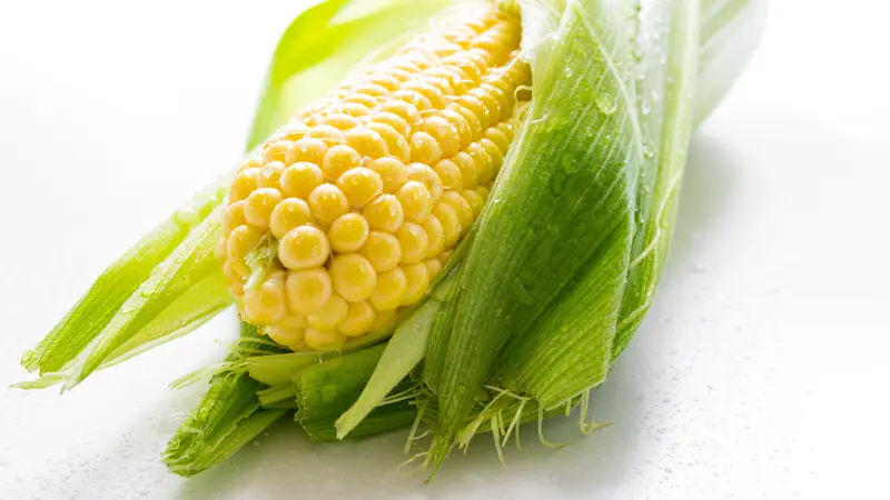 jagung