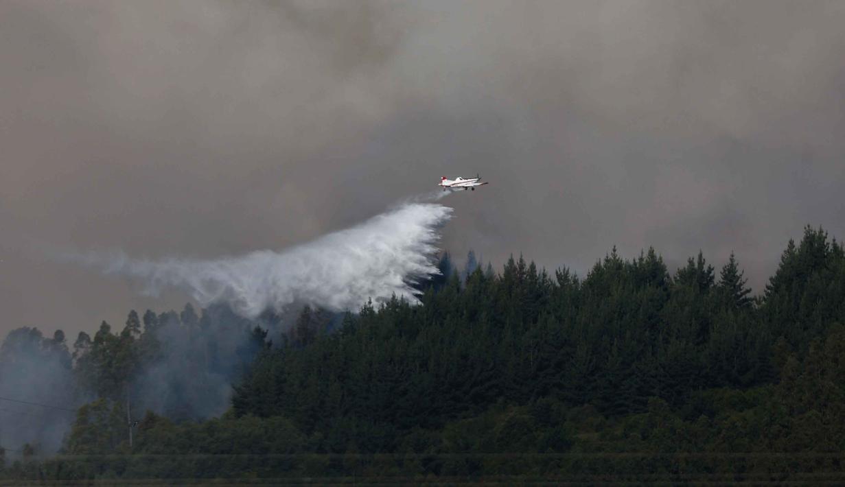 Kebakaran hutan tersebut juga menghancurkan permukiman dan infrastruktur di sejumlah kota. Tampak dalam foto, sebuah pesawat pemadam kebakaran menjatuhkan air di zona kebakaran hutan di Concepcion, Chile pada 18 Januari 2026. (Raul BRAVO/AFP)
