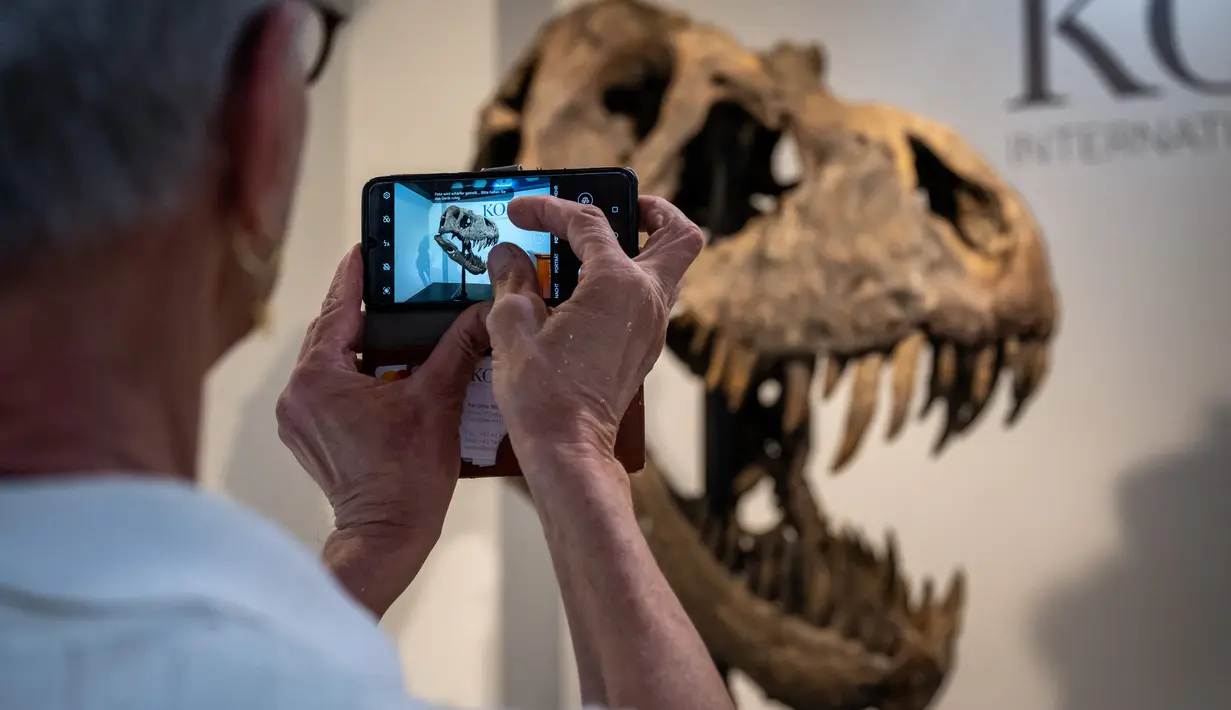 Sebagian besar kerangka dinosaurus yang dilelang terdiri dari gips atau pengganti. Namun untuk 239 Trinity, lebih dari setengahnya adalah tulang asli. (Photo by Fabrice COFFRINI / AFP)