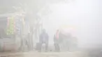 Warga duduk di samping toko saat kabut tebal akibat polusi menyelimuti  Delhi, India (1/12). Kabut ini diklaim sebagai kabut asap terparah yang dialami oleh New Delhi dalam 17 tahun yang telah mengurangi jarak pandang. (REUTERS/Cathal McNaughton)