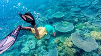 Snorkling di Wakatobi. (Shutterstock)