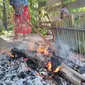 Proses Pembuatan Lemang di Aceh (Liputan6.com/Rino Abonita)