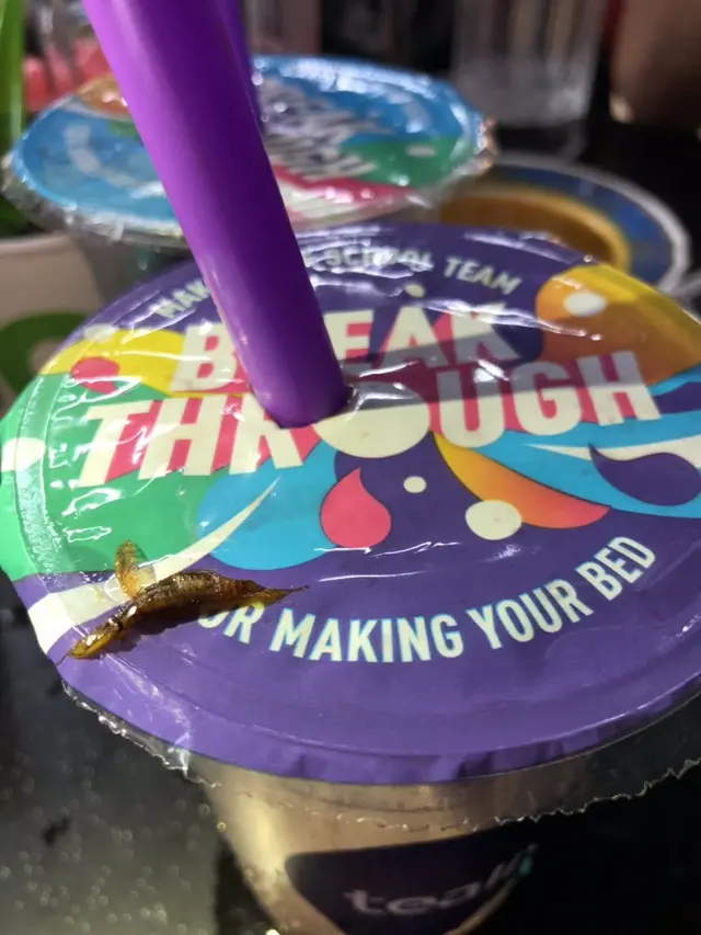 kecoak di minuman boba