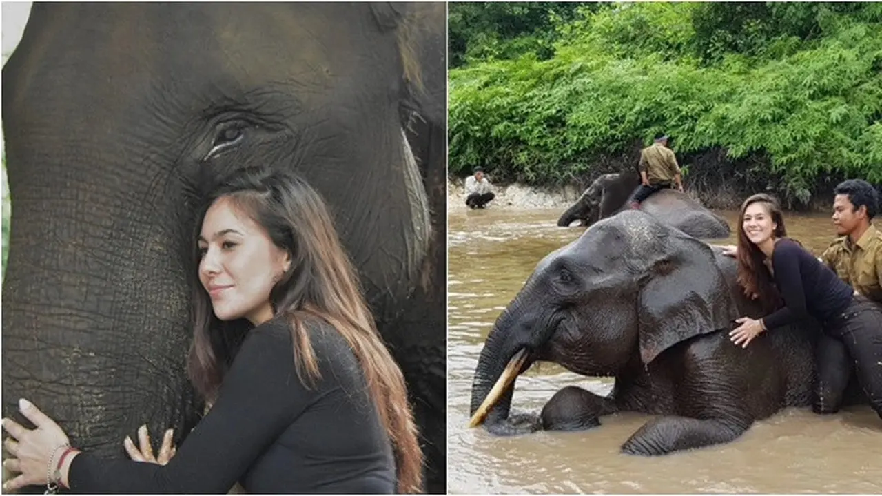 6 Potret Kenangan Wulan Guritno Bareng Gajah Rahman, Mati Diracun dan Gading Dicuri