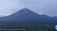 Gunung Semeru alami erupsi puluhan kali dalam periode 24 jam dengan tinggi letusan capai 400 meter (Istimewa)