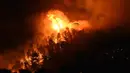 Api saat melahap hutan di Les Pennes-Mirabeau, Marseille, Prancis, (11/8). Prancis mengerahkan 1.500 petugas pemadam untuk memadamkan api yang membakar lahan dan hutan di Marseille. (AFP PHOTO/BORIS HORVAT)