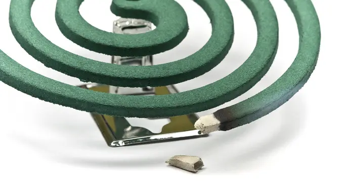 Dampak Buruk Obat Nyamuk Bakar bagi Kesehatan Anda (ribeiroantonio/shutterstock)