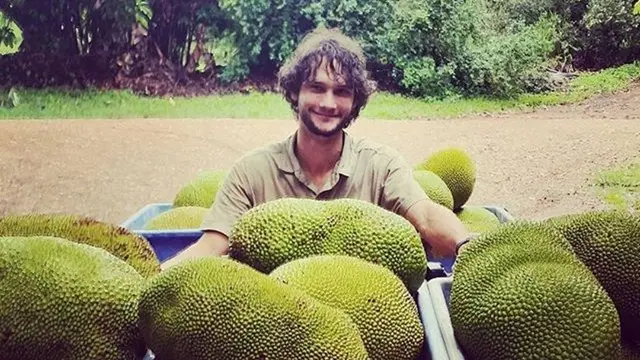 Buah Nangka Makin Populer Gantikan Daging di Australia, Kok Bisa?