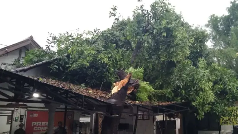 Gedung KPU Depok Tertimpa Pohon.