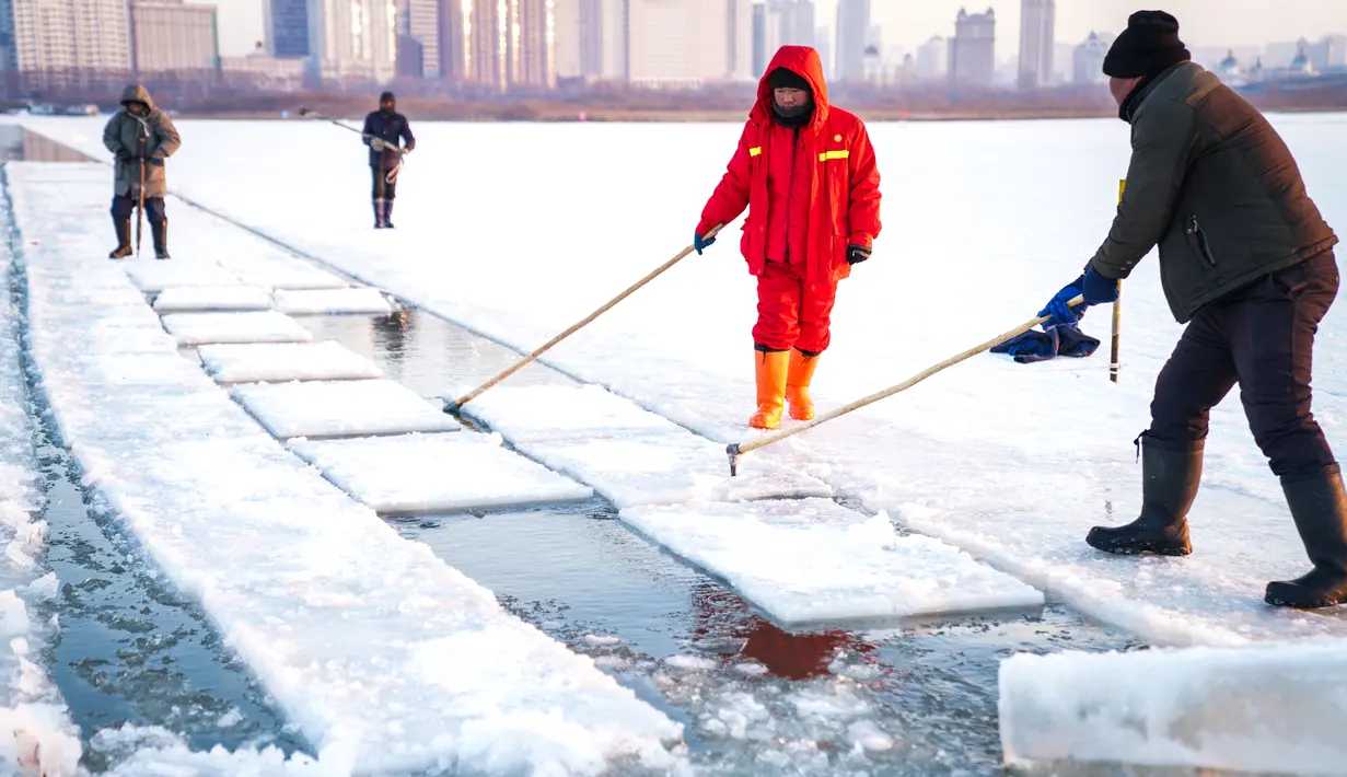 Sejumlah pekerja mengumpulkan es dari Sungai Songhua di Harbin, ibu kota Provinsi Heilongjiang, China timur laut (7/12/2020). Bongkahan es yang dikumpulkan dari Sungai Songhua yang membeku itu akan digunakan sebagai dekorasi kota tersebut. (Xinhua/Wang Song)