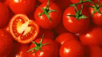 Tomat (Foto: ilustrasi)