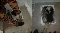 Terpeleset di WC Jongkok, Tubuh Wanita Ini Terperosok Lubang Sampai Sedalam Dada. (Sumber: Facebook/BombaMalaysia)