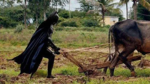 6 Tingkah Petani Terlalu Semangat Bekerja Ini Bikin Ngakak