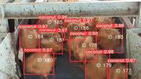 Coconut Counter Widya Robotics