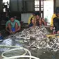 Sebagian besar warga Blok 03 Desa Kertasura Kecamatan Kapetakan Kabupaten Cirebon mengganguntkan hidupnya dari olahan kulit ular. Foto : (Liputan6.com / Panji Prayitno)
