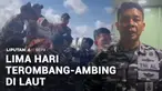 Selama 5 hari terombang-ambing di lautan, dua penumpang KM Nurul Salsa yang tenggelam di Perairan Kepulauan Selayar, Sulawesi Selatan, ditemukan selamat. Sementara, polisi masih menyelidiki penyebab tenggelamnya kapal dengan memeriksa nahkoda dan ana...
