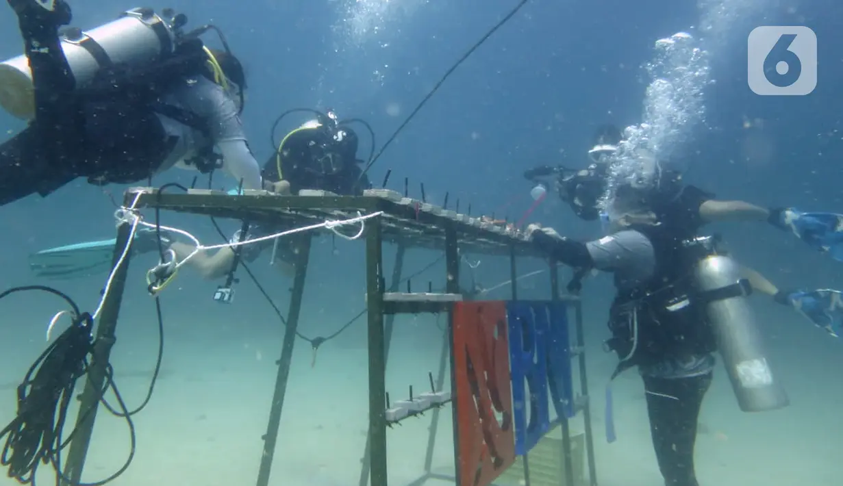 Penyelam BNI HiMovers Dive Community menanam bibit terumbu karang di Perairan Pantai Pulisan, Minahasa Utara, Sulawesi Utara, Rabu (23/06/2021). BNI menanam 1.946 bibit terumbu karang sebagai bagian dari ungkapan suka cita dalam rangkaian perayaan HUT ke - 75. (Liputan6.com/HO/BNI)