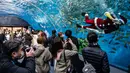 Seorang penyelam berpakaian seperti Sinterklas (kanan) memberi makan ikan dalam akuarium disaksikan pengunjung dan fotografer di Yokohama Hakkeijima Sea Paradise, Yokohama, Jepang, 10 Desember 2021. Walau populasi umat Kristiani hanya 1 persen, perayaan Natal di Jepang tetap meriah.(Philip FONG/AFP)