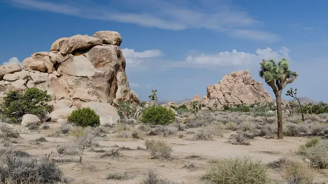 Taman Nasional Joshua Tree, California (Tuxyso / Wikimedia)