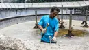 Air mancur ini diperindah agar kawasan Kota Tua kian nyaman, Jakarta, Rabu (5/11/2014). (Liputan6.com/Faizal Fanani)  