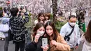 Orang-orang mengambil foto di depan bunga sakura di Taman Ueno di Tokyo, Jepang pada Senin (21/3/2022). Badan Meteorologi Jepang mengumumkan dimulainya musim bunga sakura di Tokyo. (Philip FONG / AFP)