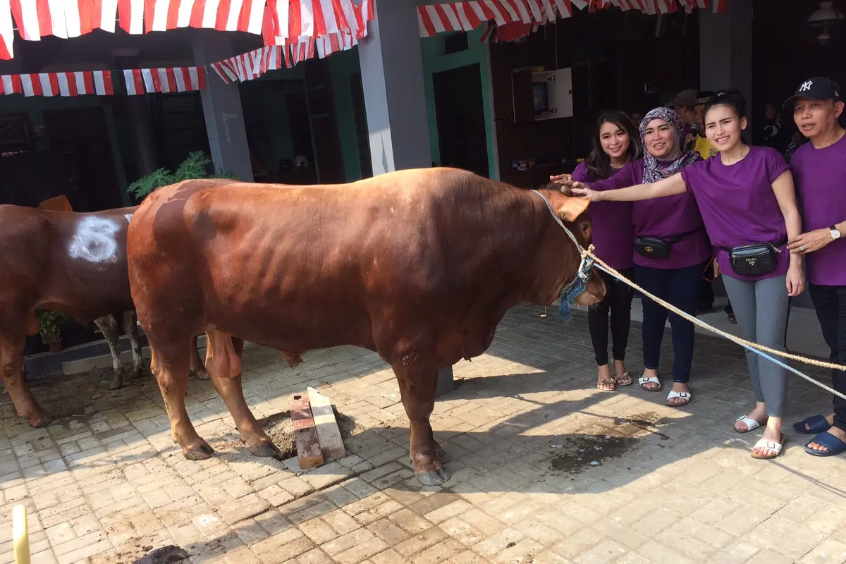 [Bintang] Ayu Ting Ting