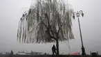 Seorang pria Kashmir berdiri di bawah pohon willow sambil menunggu pelanggan menaiki shikara, gondola perahu dayung tradisional, di tepi Danau Dal pada suatu pagi yang dingin dan berkabut di Srinagar, Kashmir yang dikuasai India, Jumat, 29 Desember. 2023. (AP Photo/Dar Yasin)