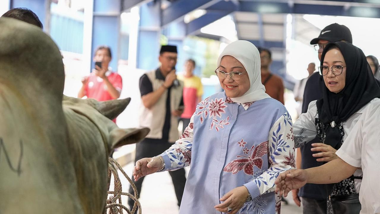 Kementerian Ketenagakerjaan (Kemnaker) berhasil menghimpun 44 hewan kurban di Unit Pelaksana Teknis Pusat (UPTP) Kemnaker dan 15 ekor sapi di kantor pusat sehingga total 59 ekor sapi ditambah 8 ekor kambing