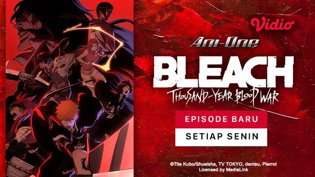 Link Nonton Anime Bleach: Thousand-Year Blood War
