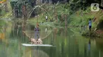 Warga sekitar Situ Gintung mencari ikan Nila, Mujahir, Gabus mengunakan jaring dan jala di cirendeu, Ciputat Timur, Tangerang Selatan, Banten, Kamis (13/8/2020). Selain dimanfaatkan warga mencari ikan Situ Gintung juga sebagai objek wisata ekonomis. (merdeka.com/Dwi Narwoko)