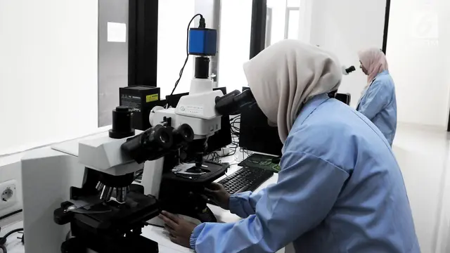 Melihat Laboratorium Budidaya Ikan Hias di Depok