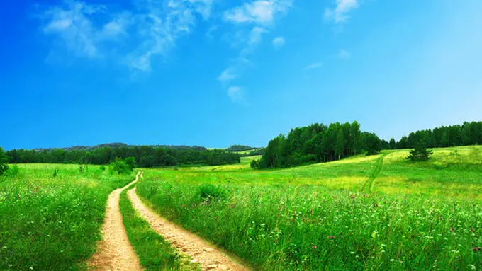 Courtesy HDWallpapers