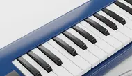 Not Pianika Hari Merdeka untuk Meriahkan Kemerdekaan 17 Agustus 1945 HUT RI Ke-81