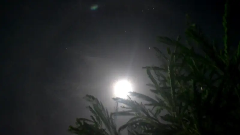 Penampakan supermoon di langit Desa Cingebul Kecamatan Lumbir Kabupaten Banyumas, Senin (4/12/2017). Muncul pula lingkaran cincin atau halo. (Foto: Liputan6.com/Muhamad Ridlo)