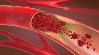 Ilustrasi aliran darah. (Shutterstock/Christoph Burgstedt)