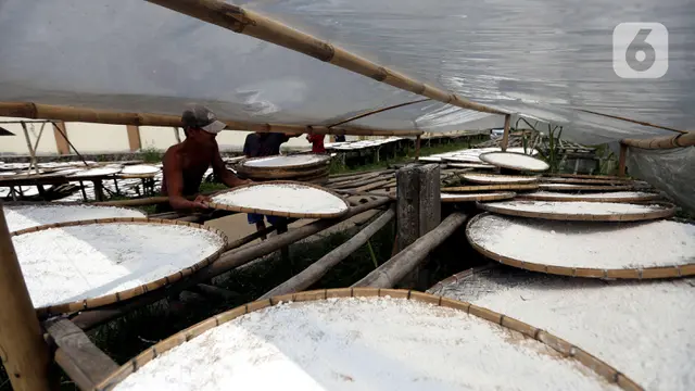Geliat Produksi Tepung Aci di Tengah Pandemi